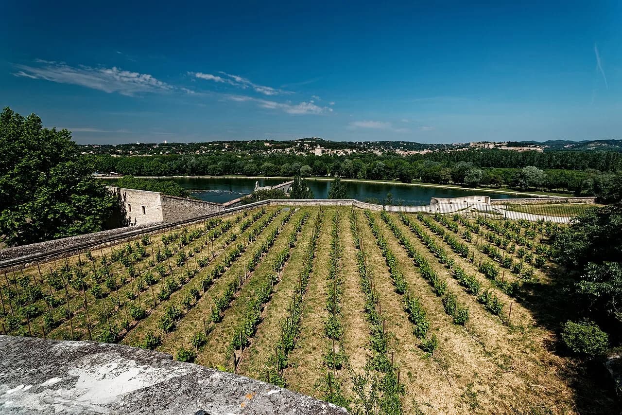 Châteauneuf-du-Pape Wineries: Tasting Guide from Avignon
