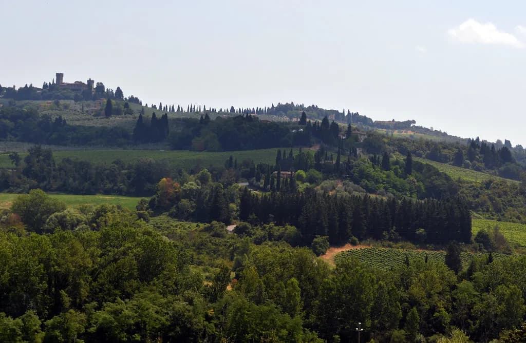 Chianti Wine Tour: Siena Departures and What's Included