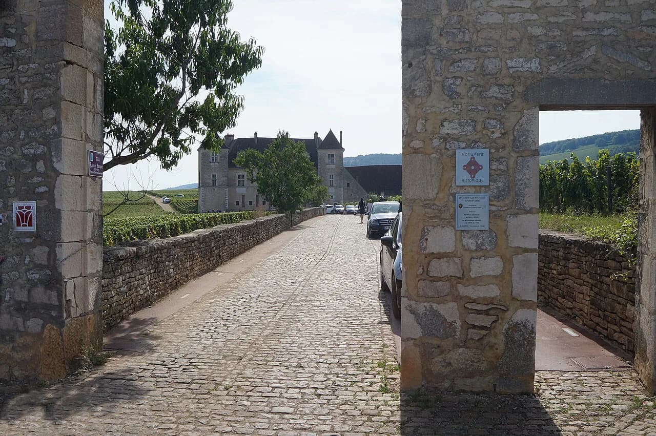 Clos de Vougeot: Decide Your Dijon Wine Visit