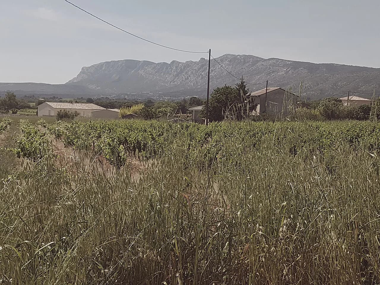 Coteaux d'Aix-en-Provence: A Wine Tasting Guide from Aix