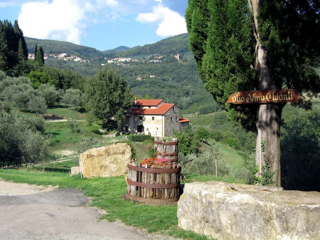 Wineries Near Lucca: Colline Lucchesi & Montecarlo Guide