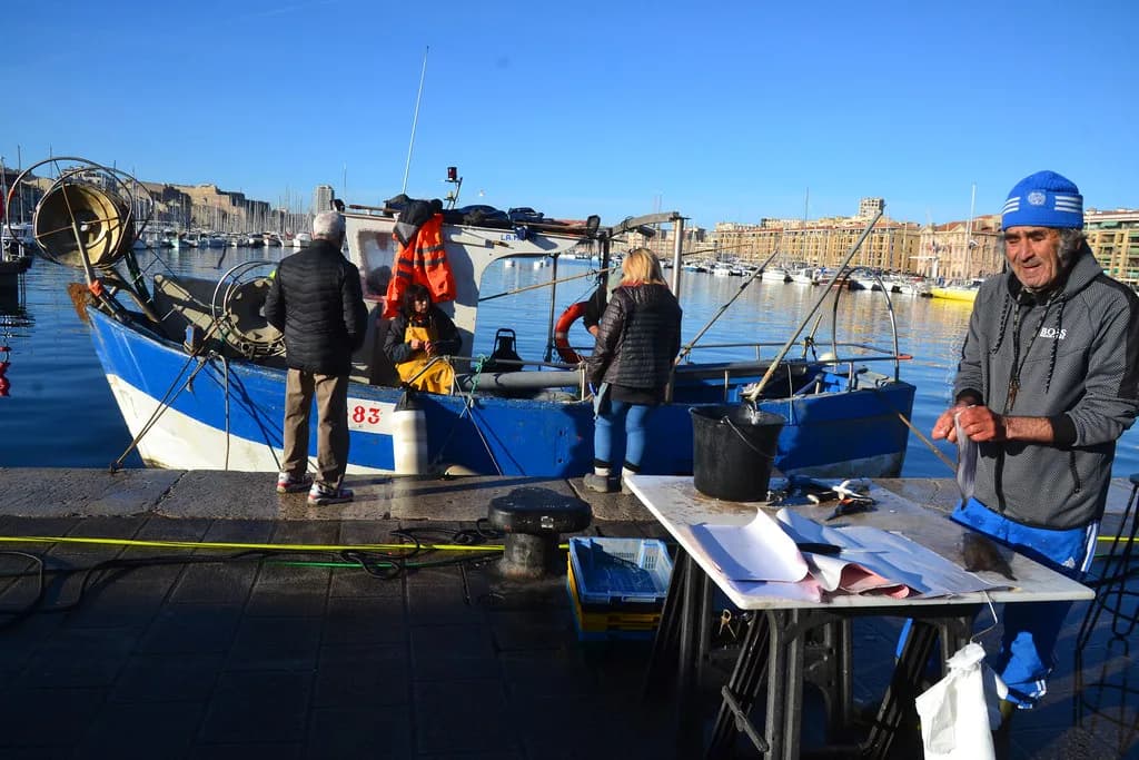 Marseille Wine Tours: Cassis, Bandol and Provence Day Trips