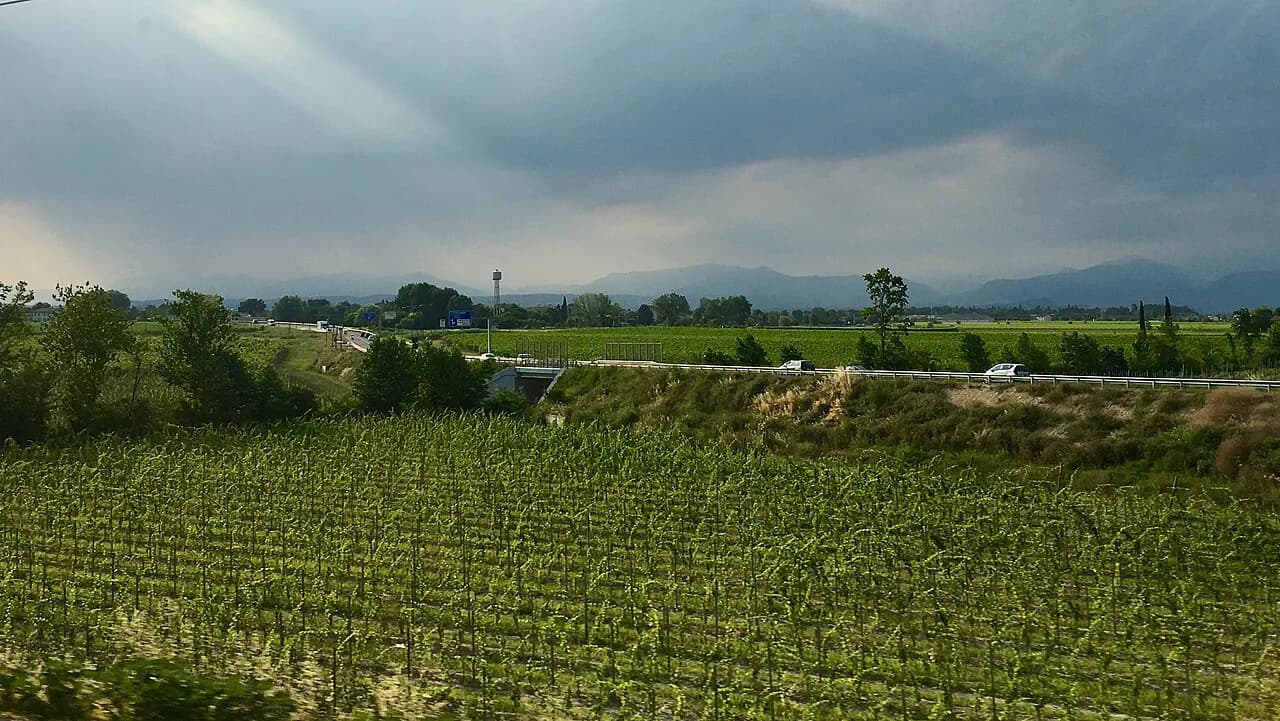 Pieropan Winery Visits from Verona: Soave Tasting Guide
