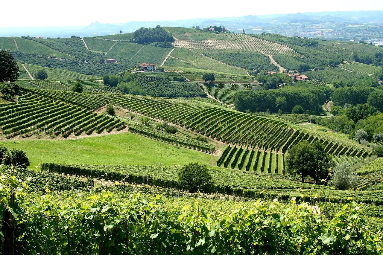 Prunotto Winery Guide: Alba or Bussia Cellars from Turin