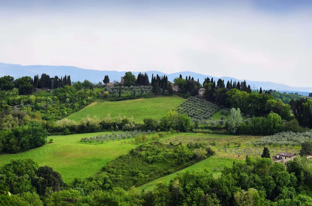 Agriturismo San Gimignano: Wine Estates With Rooms Near Town