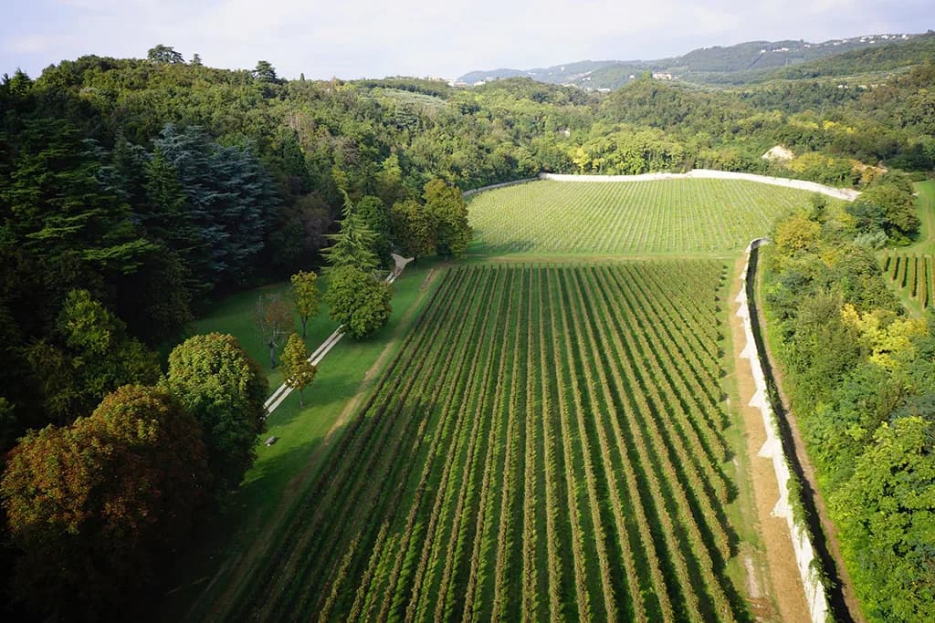 Soave Wine Tasting from Verona: Wineries, Prices and Trains