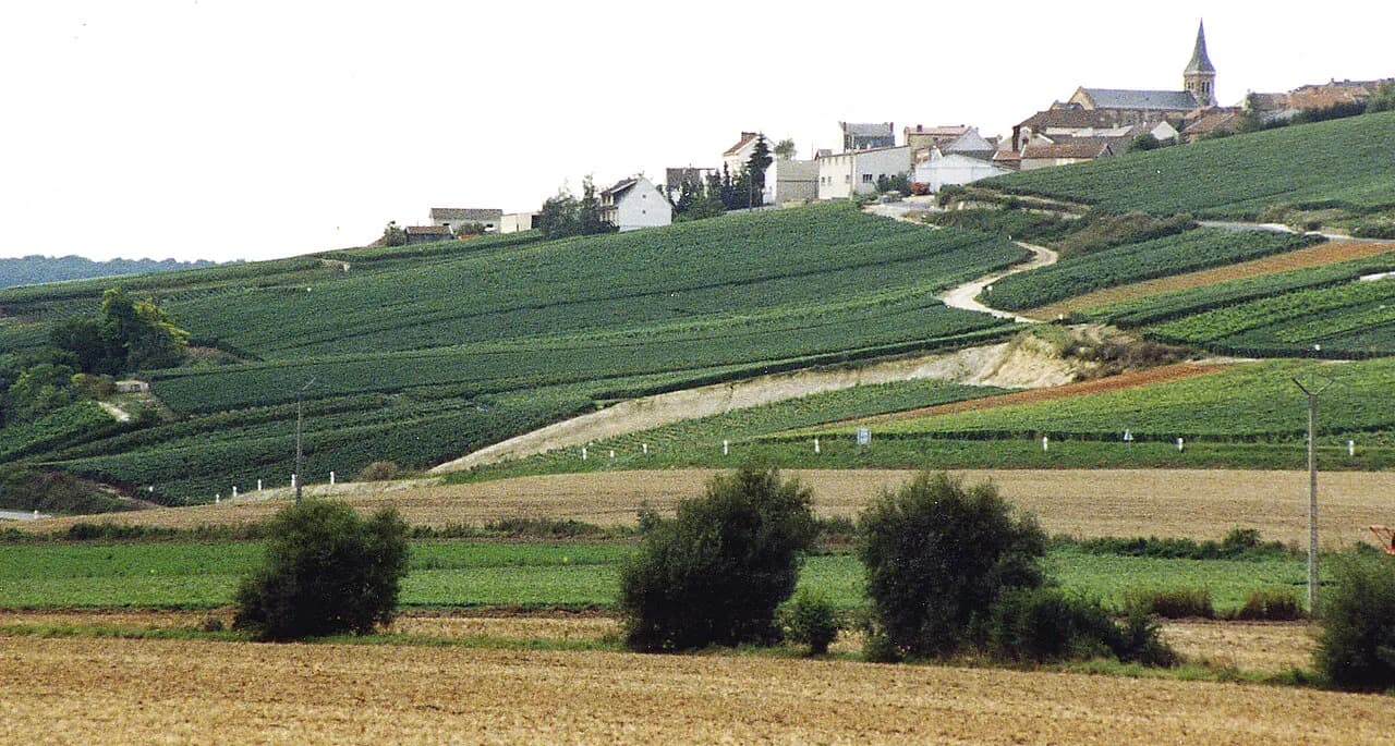Taittinger Tour in Reims: Cellars, Booking and Prices