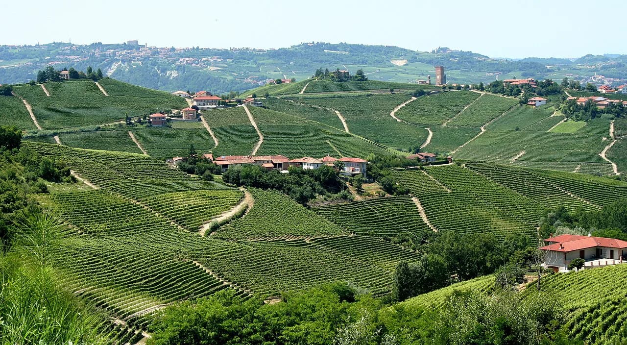 G.D. Vajra Winery Visit: Barolo Tasting Guide from Turin