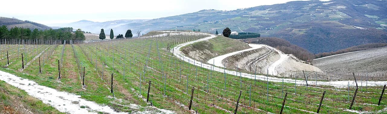 Verona Wine Bars: Where to Taste Local Wines