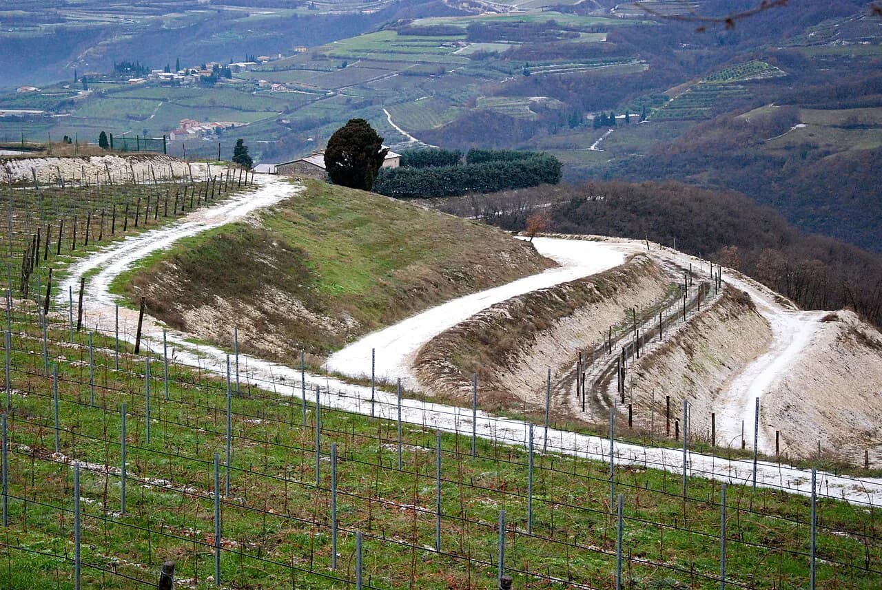 Vinitaly in Verona: Trade Fair vs Vinitaly and the City