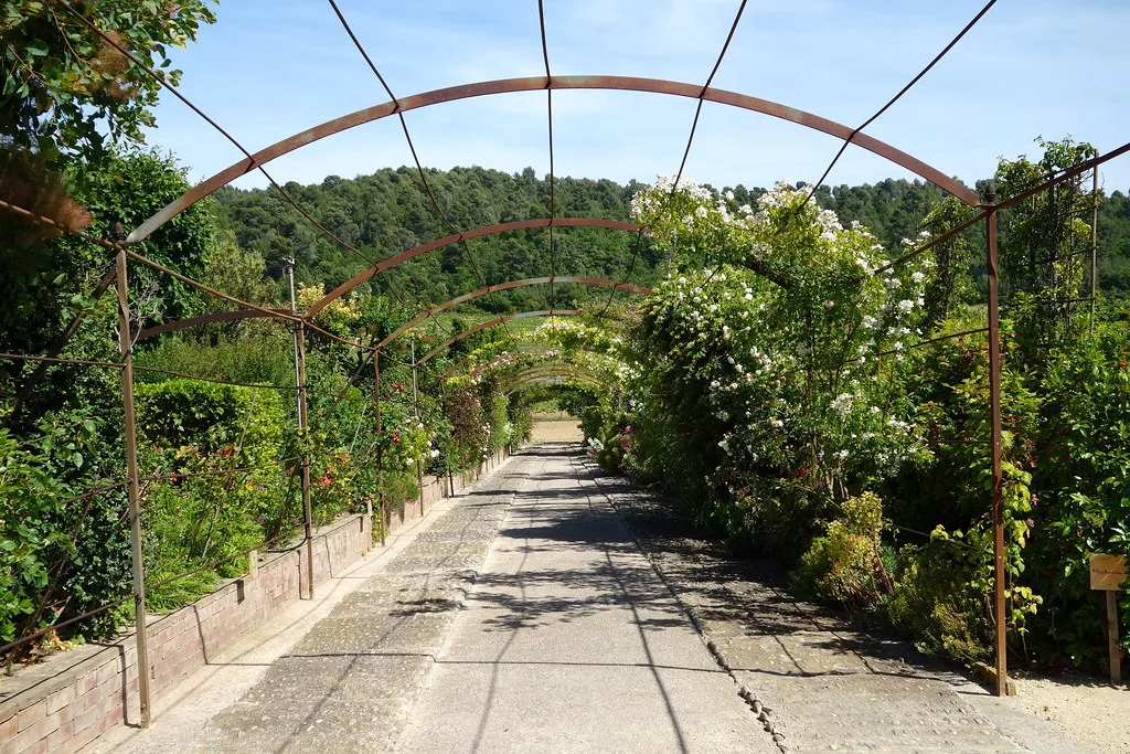 The garden walk at Val Joanis, a Luberon winery near Pertuis, north of Aix-en-Provence