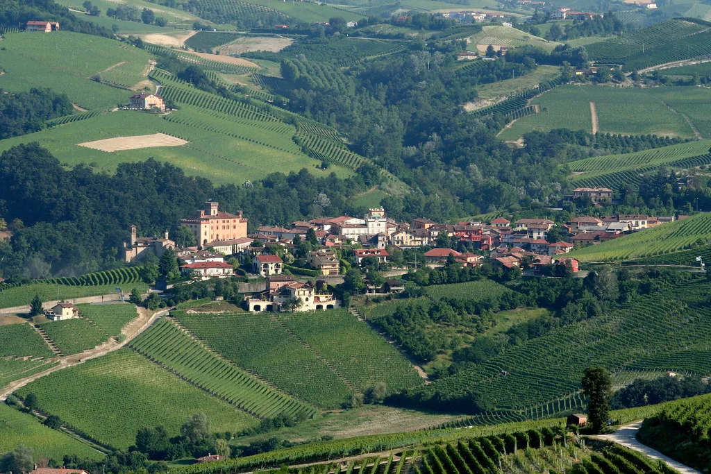Hill village and vineyards in Piedmont