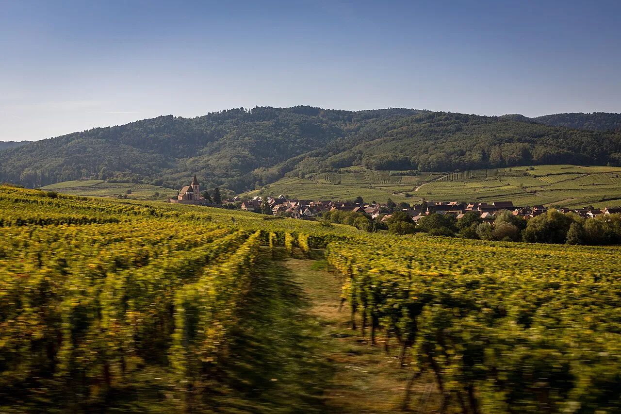 Route des Vins, Alsace