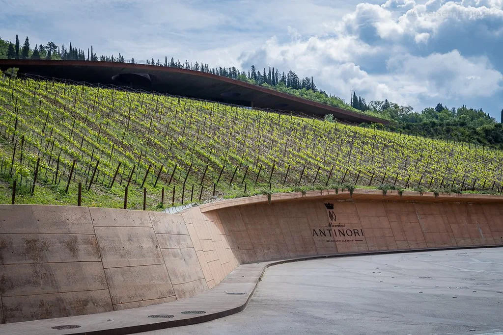 Antinori nel Chianti Classico winery, Bargino