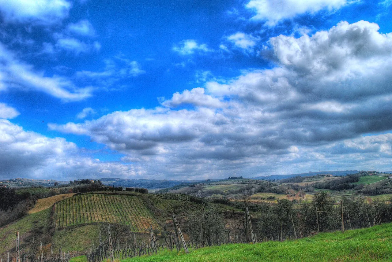 Vineyards in the Chianti Fiorentino hills