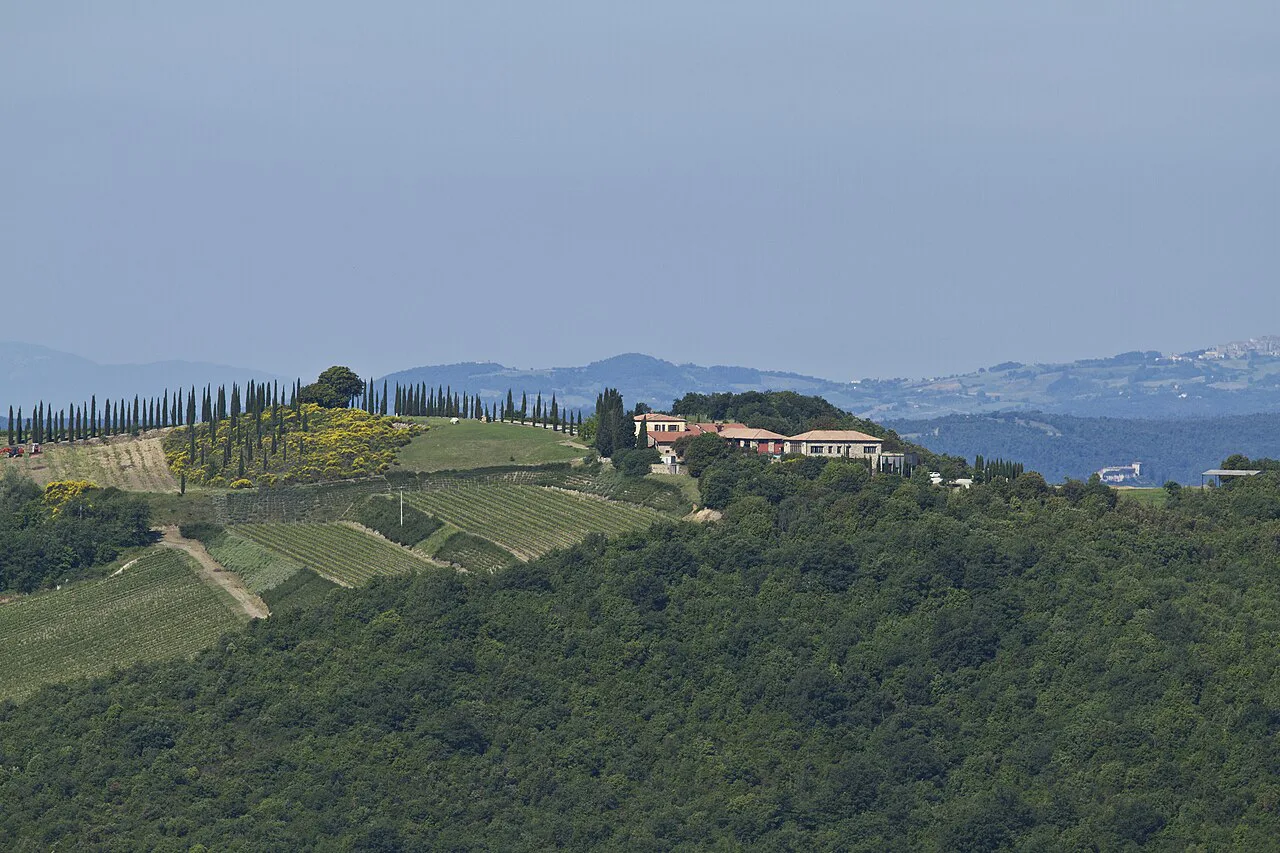 Vineyards around Montalcino