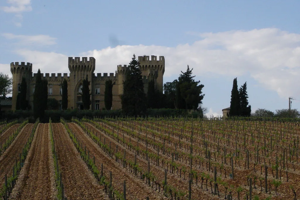 Vineyard at Châteauneuf-du-Pape
