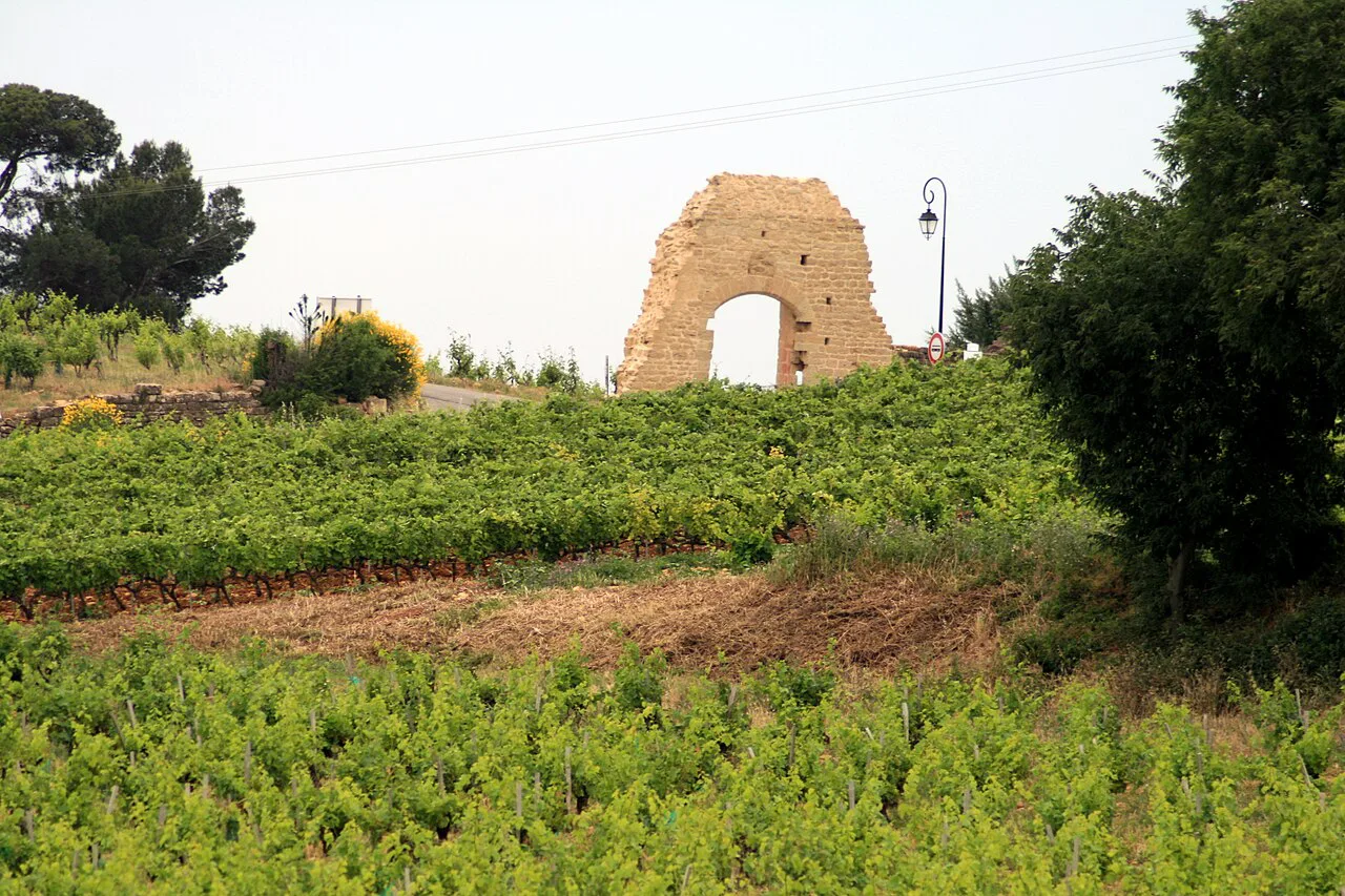 Châteauneuf-du-Pape in spring