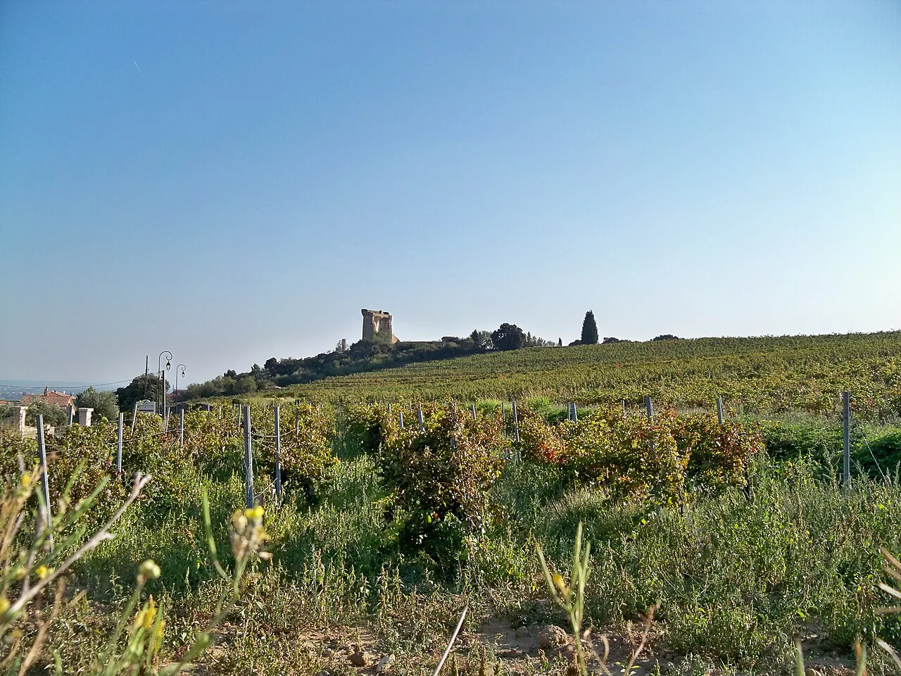The ruined papal castle above the vineyards of Châteauneuf-du-Pape