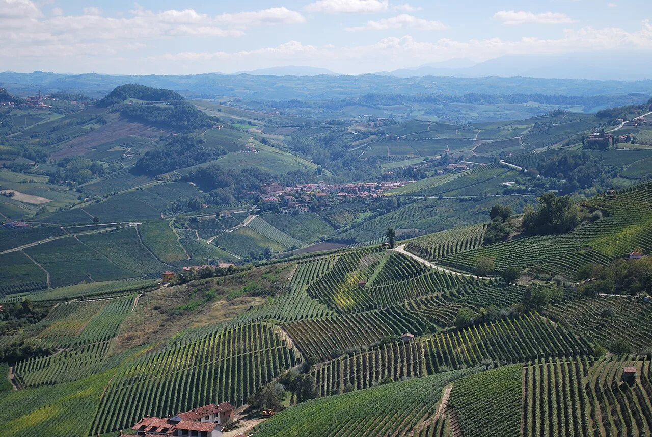 Barolo and its vineyards seen from La Morra
