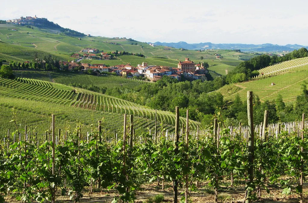 TorreBarolo - Surrounded by vineyards, Turin