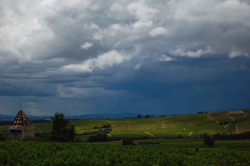 Beaujolais, France