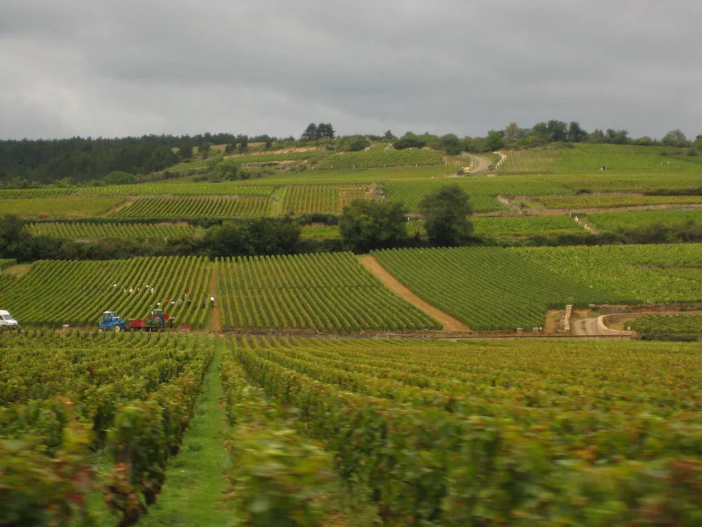 Beaune, France