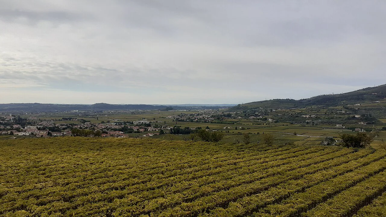 Valpolicella panorama