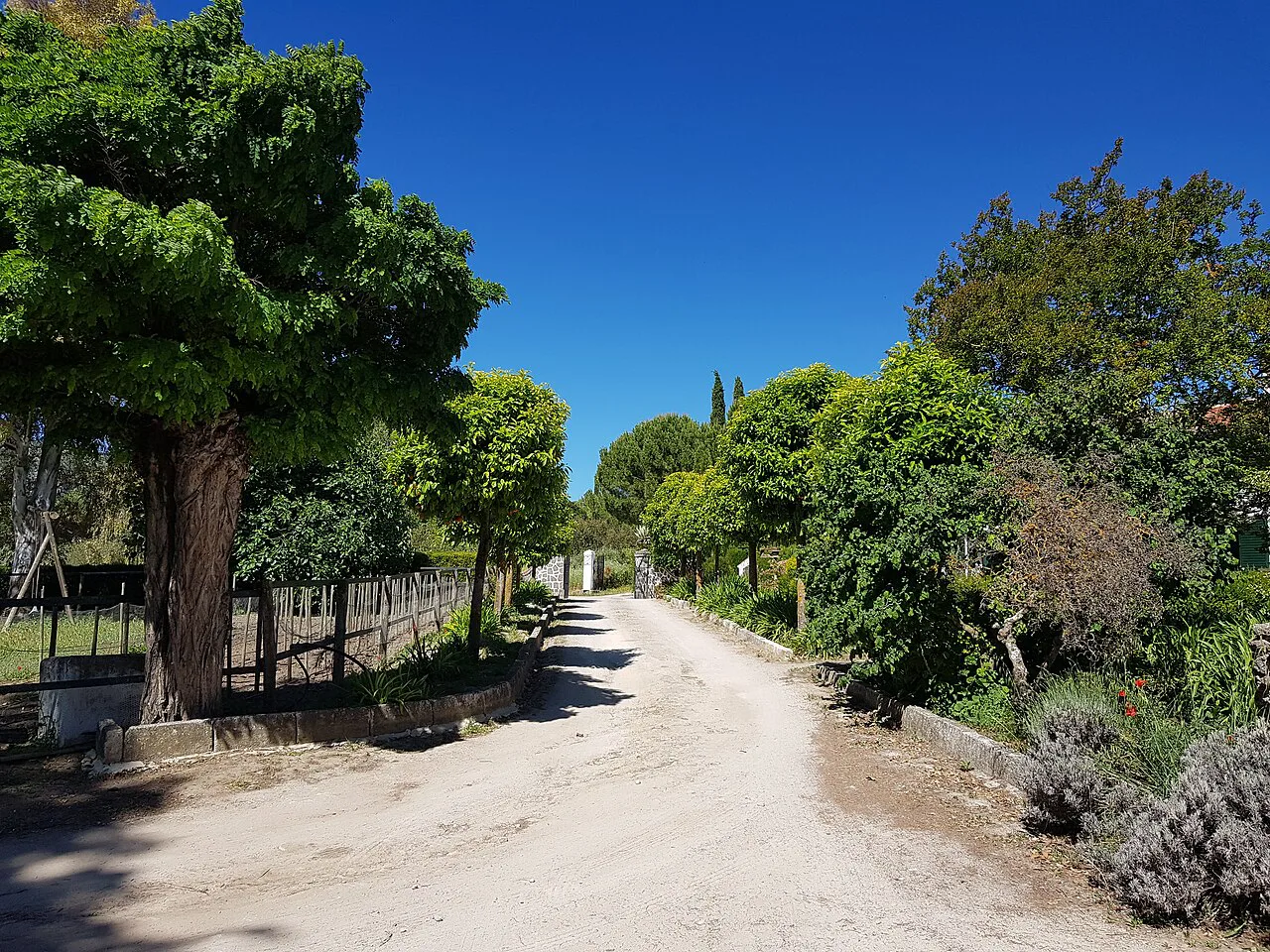 Finca la Sanguijuela, F. Schatz, Ronda