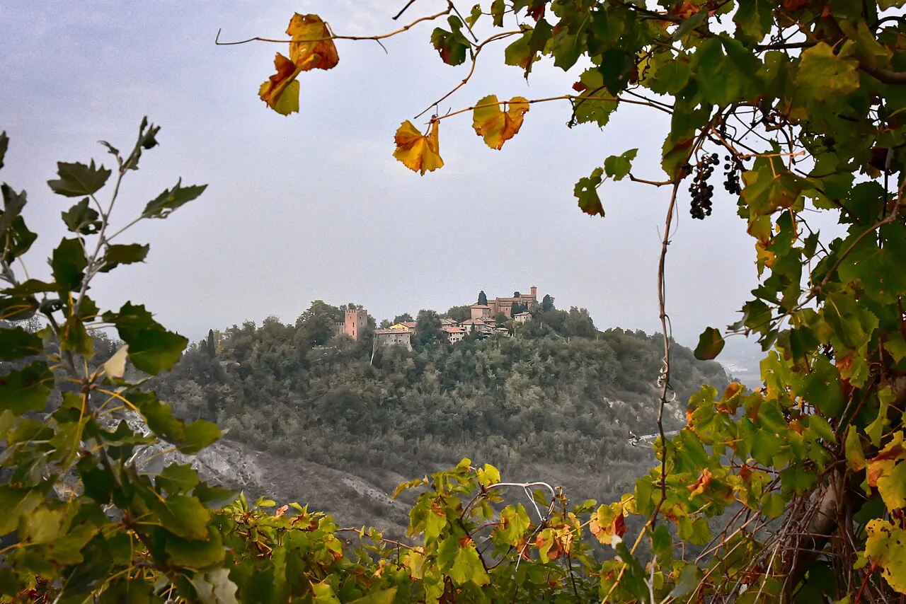 The abbey hill of Monteveglio framed by vine leaves, in the hills west of Bologna