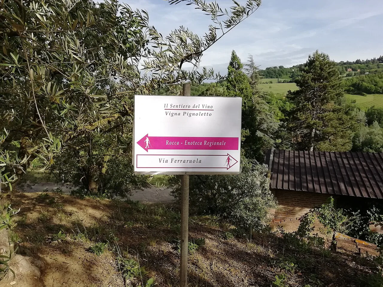 Wine-trail signpost among the Pignoletto vines at Dozza