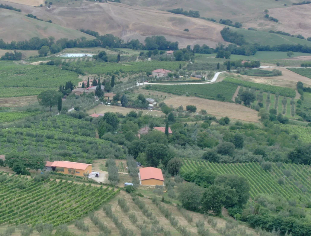 Vineyards seen from Montepulciano's old town
