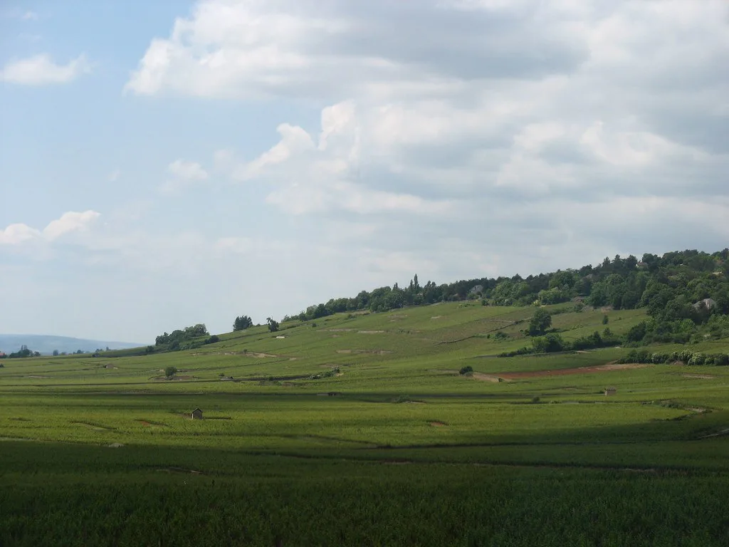 Burgundy Vineyards near Beaune, France