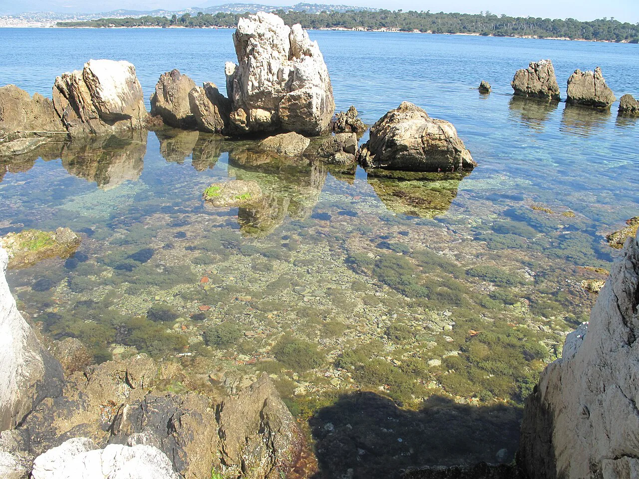 Rocks and clear water in the Lérins Islands off Cannes
