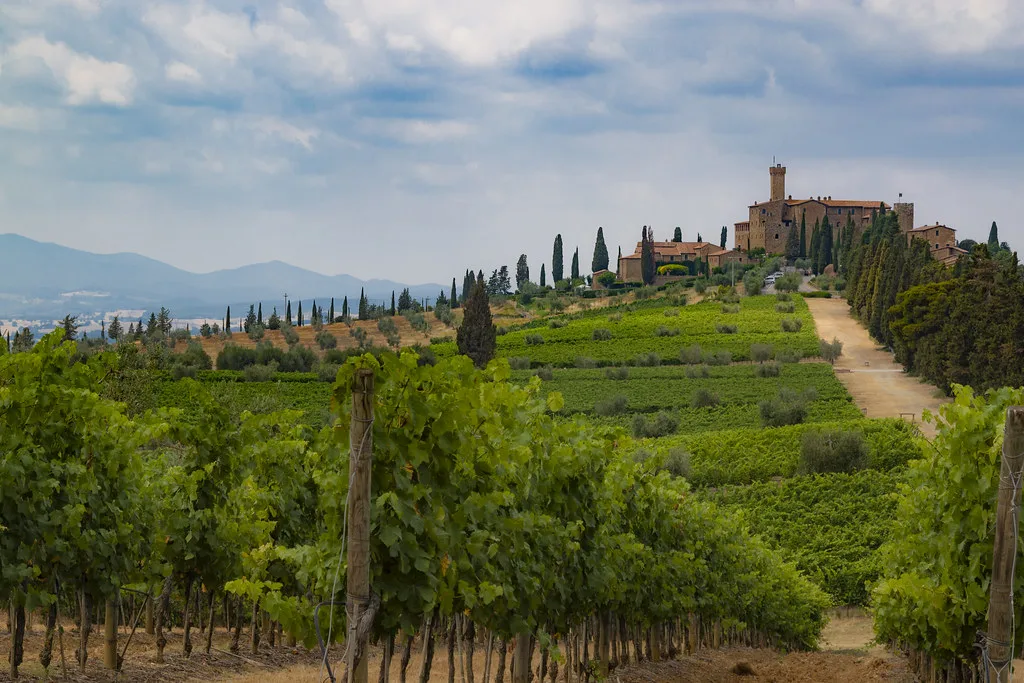 Castello Banfi vineyards near Montalcino