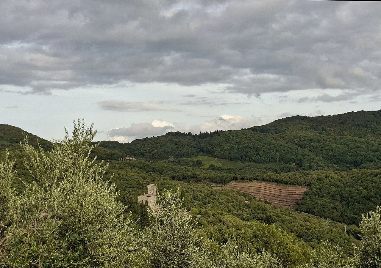 Hills at Castello di Albola, Radda in Chianti