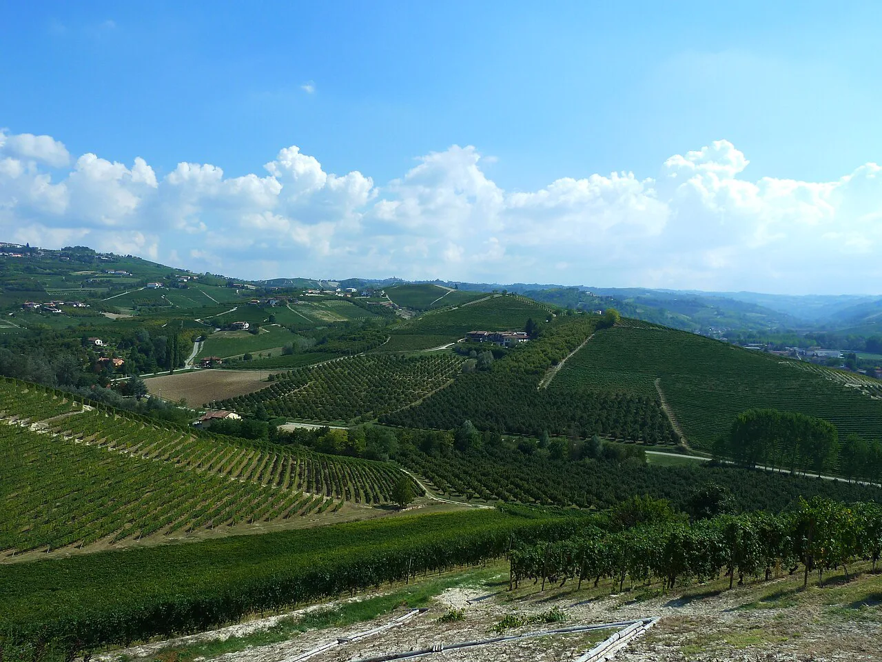 View from the Castello di Grinzane Cavour