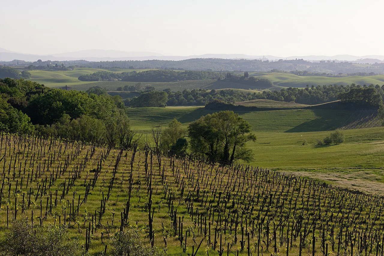 View Towards Distant Siena