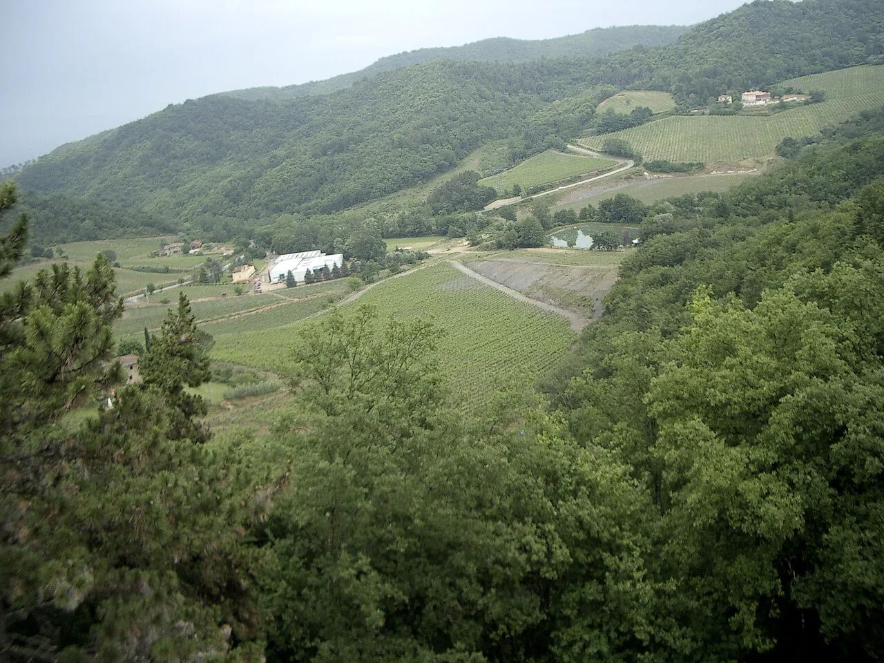 The valley around Castello di Querceto, near Greve in Chianti