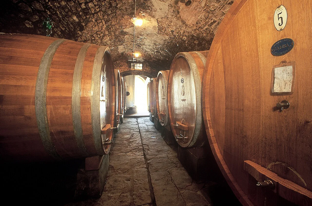 Volpaia aging, Siena