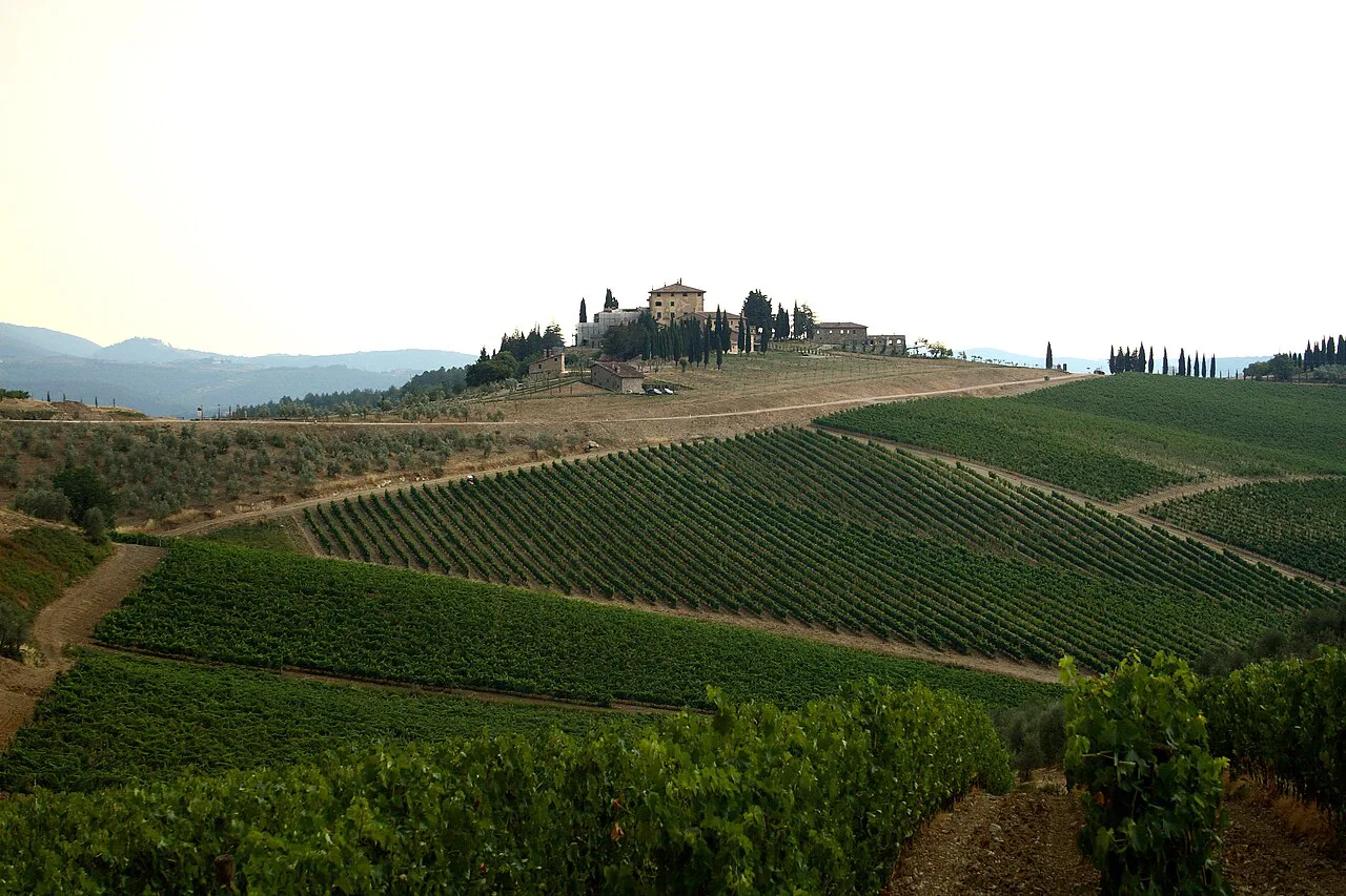 Vineyards in Chianti Classico