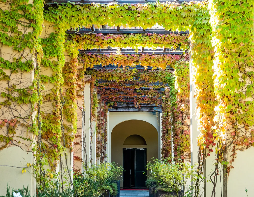 Castiglion del Bosco, Montepulciano