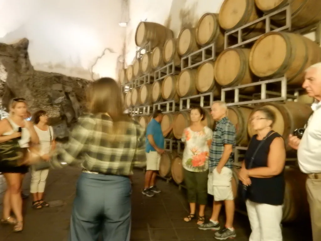 A tasting group in the barrel cellar at Patria winery, Solicchiata, on the north slope of Etna
