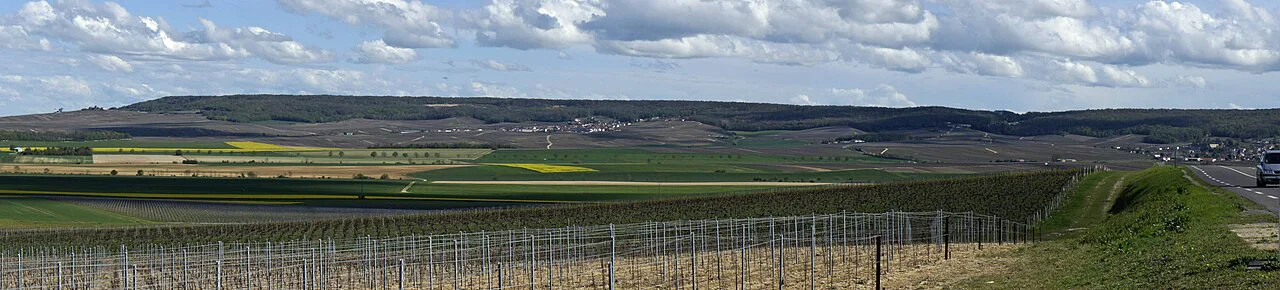 Vue depuis la D9 vers la montagne de Reims Ludes et Mailly