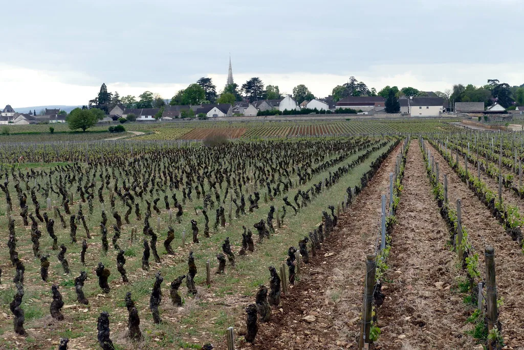 Beaune, Pommard, Volnay and Meursault, Côte de Beaune