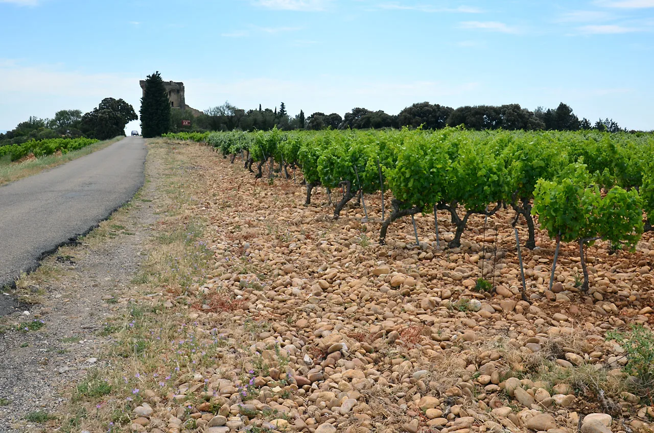 Vineyard road into Châteauneuf-du-Pape