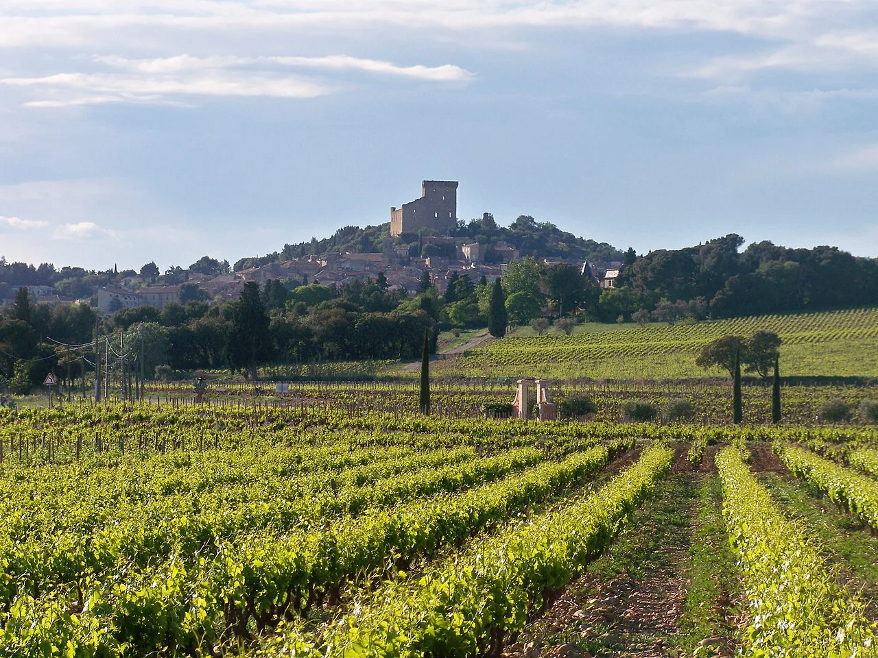 Châteauneuf-du-Pape above its vineyards