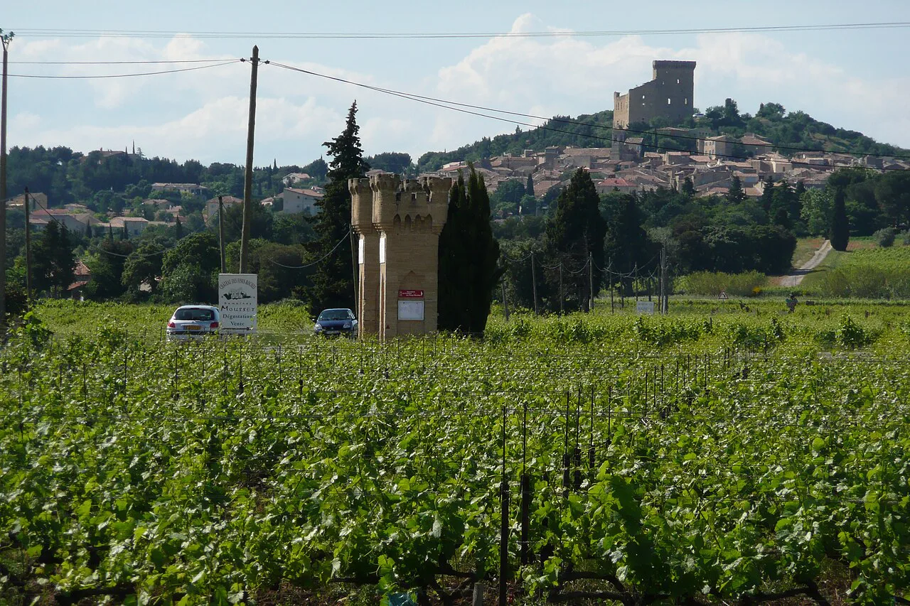 Châteauneuf-du-Pape from the vineyards