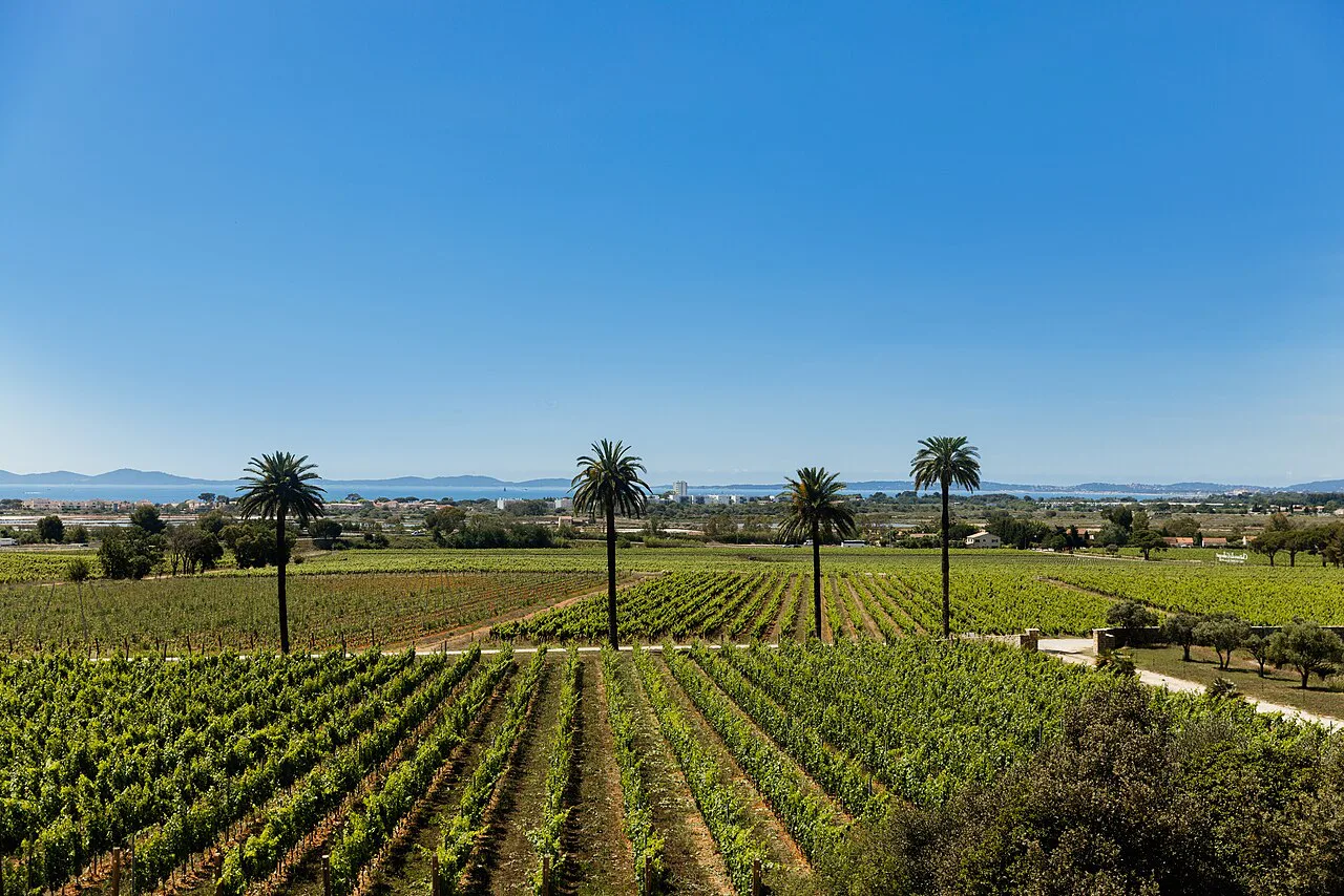 Château Galoupet wine estate, La Londe-les-Maures