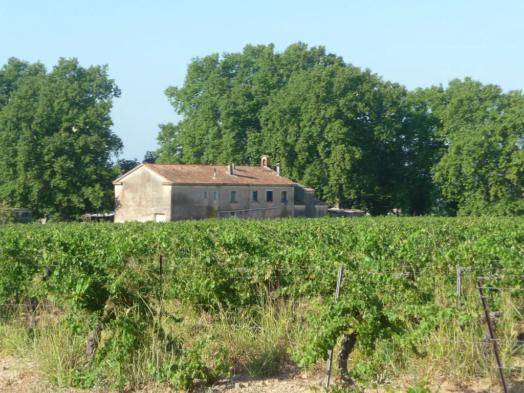 A farmhouse among Côtes de Provence vines between Puget-Ville and Pierrefeu-du-Var